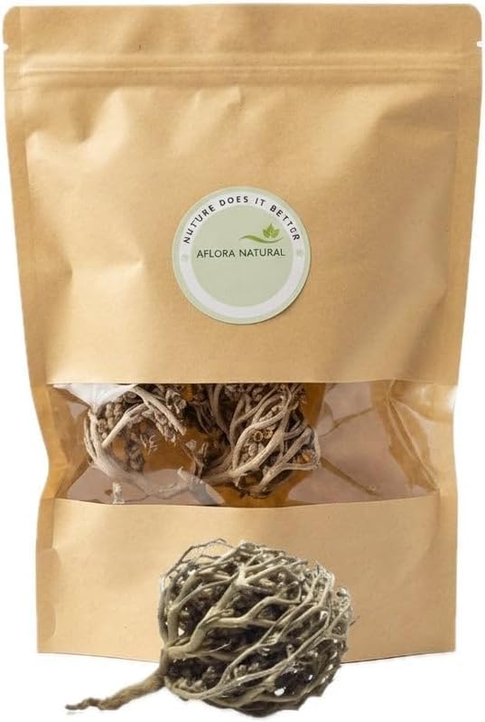 51ePZ-qrSzL.jpg Hajarat Mariam Jericho Rose, Natural Dried Desert Plant, Anastatica Hierochuntica, Resurrection Flower for Home Decoration and Cultural Display (set of 6 Piece) - Image 1