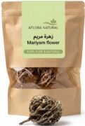 Hajarat Mariam Jericho Rose Resurrection Flower, 2pc