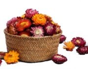Natural Dried Daisy Flower Heads, 35g