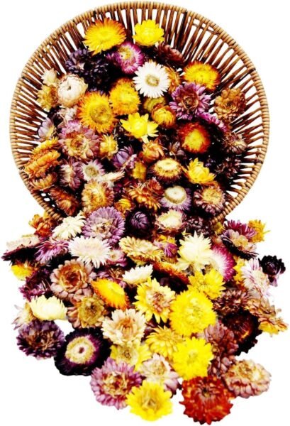 Dried Flower Heads Bulk Pack Multi-Color Mixed Flowers, 35g